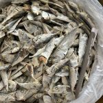 Ikan-Bilis-Anak-Kembong-Tempatan