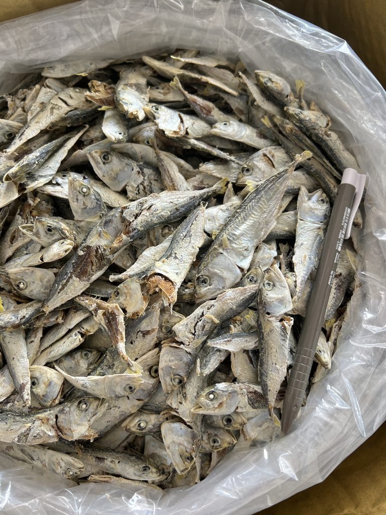 Ikan-Bilis-Anak-Kembong-Tempatan