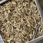 Ikan Bilis Belah 2 Tempatan Grade B