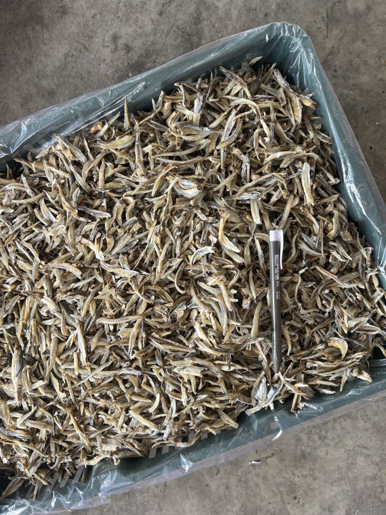 Ikan Bilis Belah 4 Siam