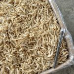 Ikan Bilis Belah M Vietnam_