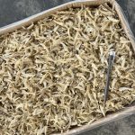 Ikan Bilis Belah Pepak Putih Vietnam