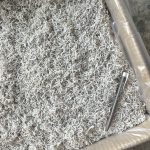 Ikan Bilis Jepun Halus