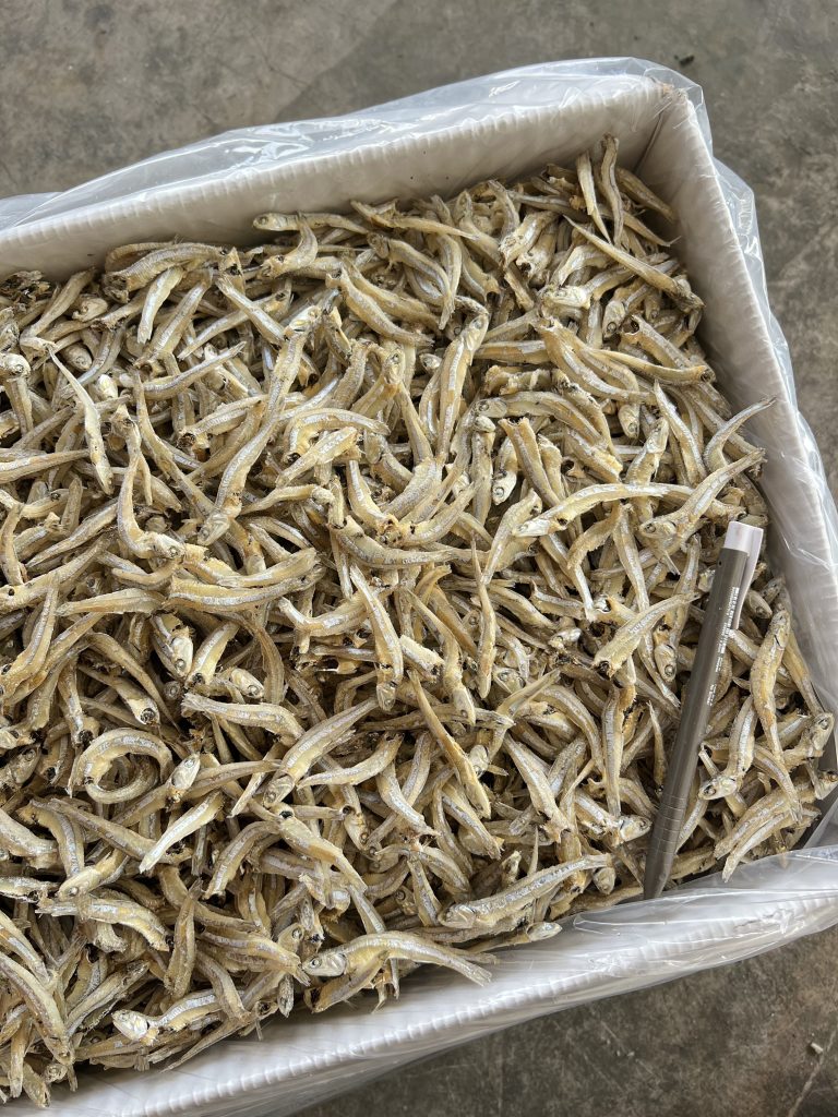 Ikan Bilis Kasar Hitam Vietnam