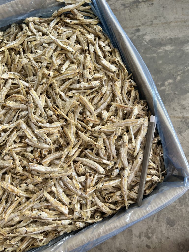 Ikan Bilis Langkawi Putih Kasar_