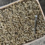 Ikan Bilis Nasi Lemak Vietnam