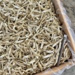 Ikan Bilis Pangkor Putih