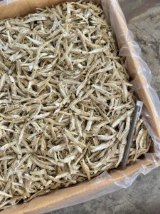 Ikan Bilis Pangkor Putih