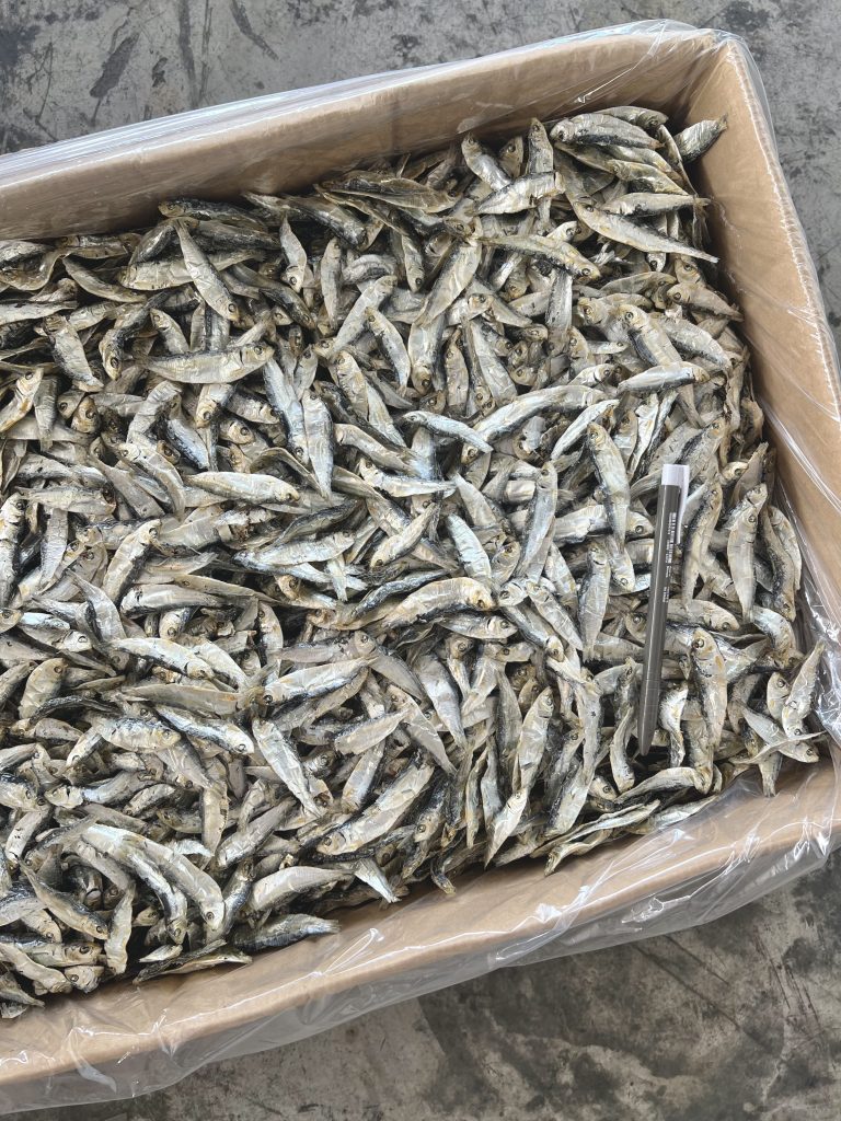 Ikan Bilis Tamban Vietnam