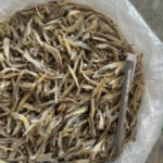 Ikan Bilis Belah 4 Siam Thailand