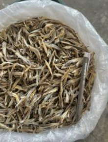 Ikan Bilis Belah 4 Siam Thailand