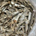 Ikan Bilis Anak Kembong Langkawi