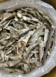 Ikan Bilis Anak Kembong Langkawi