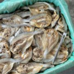 Ikan Masin Gelama Belah