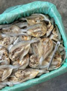 Ikan Masin Gelama Belah