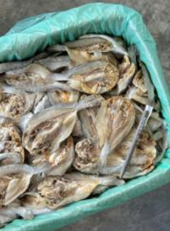 Ikan Masin Gelama Belah