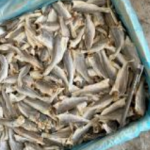 Ikan Masin Gelama Potong Kepala