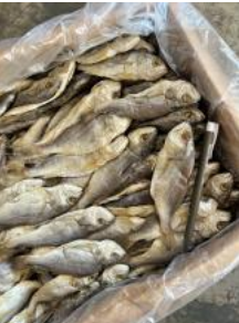 Ikan Masin Gelama Jeruk