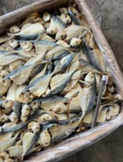 Ikan Masin Selar