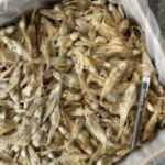 Ikan Masin Bulu Ayam