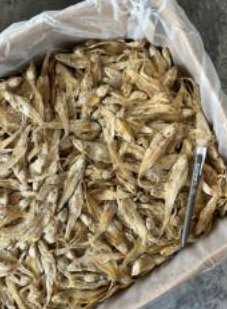 Ikan Masin Bulu Ayam