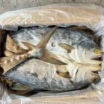 Ikan Masin Talang