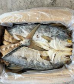 Ikan Masin Talang