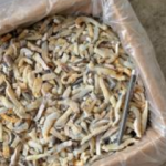 Ikan Masin Isi Malong