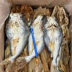 Ikan Masin Duri