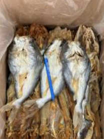 Ikan Masin Duri
