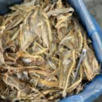 Ikan Masin Rumi Keping