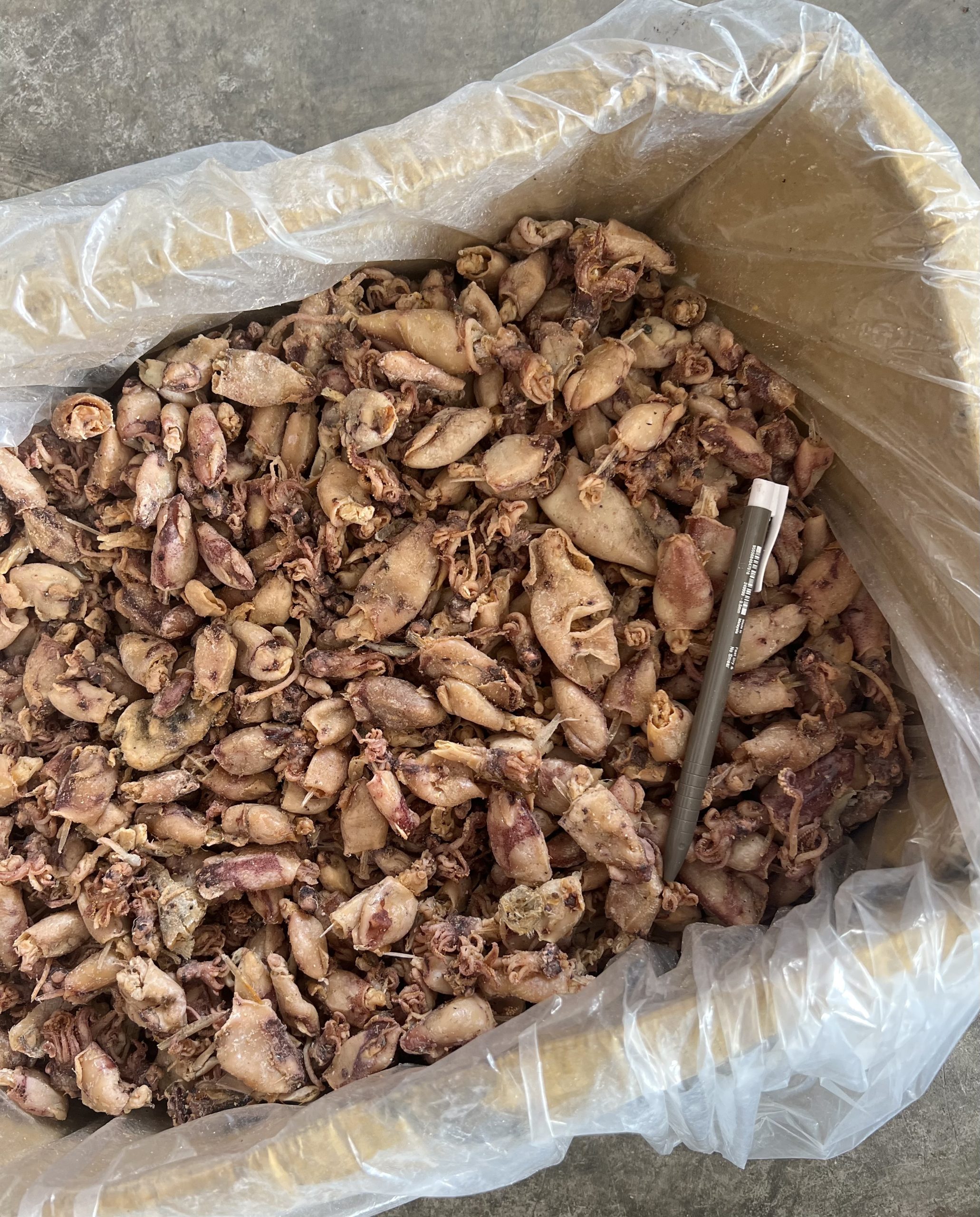 Dried Squid