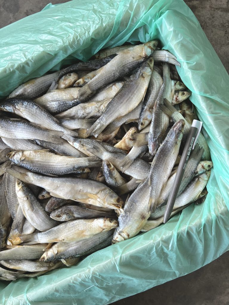 Ikan Masin Belanak