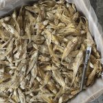 Ikan Masin Bulu Ayam Grade A