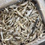 Ikan Masin Bulu Ayam Grade AAA