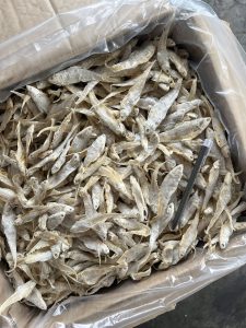 Ikan Masin Bulu Ayam Grade AAA