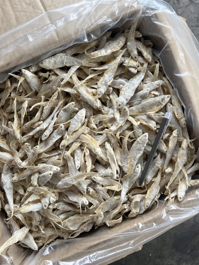 Ikan Masin Bulu Ayam Grade AAA