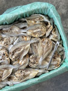 Ikan Masin Gelama Belah