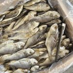 Ikan Masin Gelama Jeruk