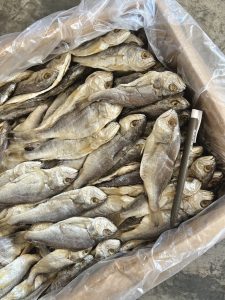 Ikan Masin Gelama Jeruk