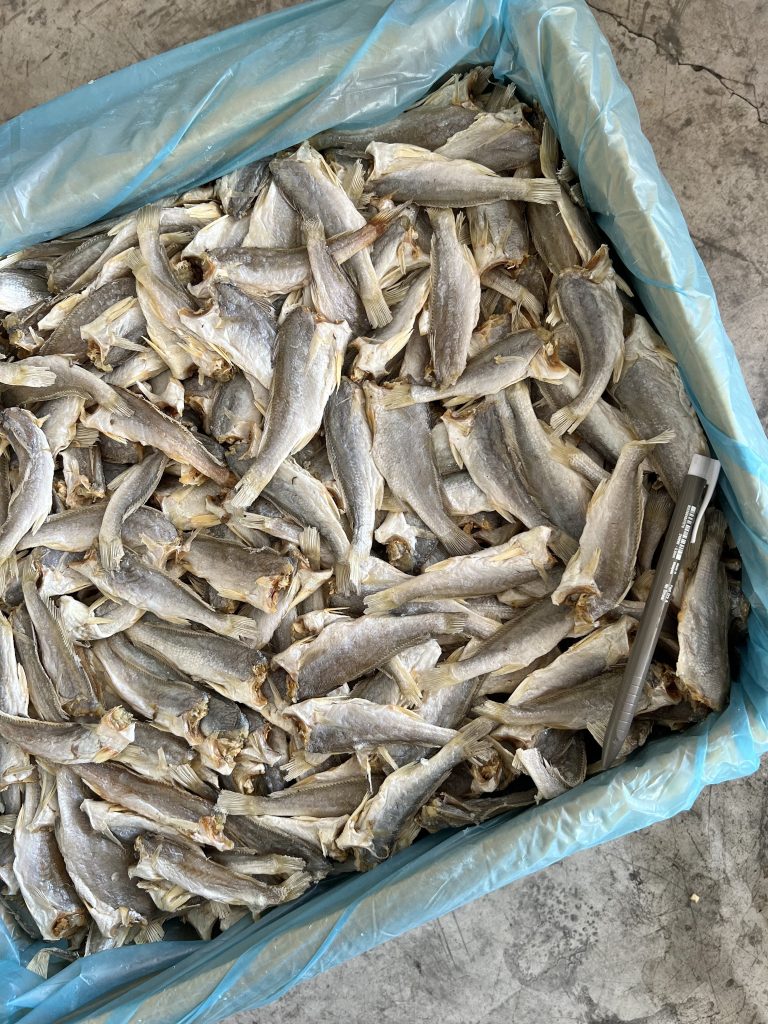 Ikan Masin Gelama Potong Kepala