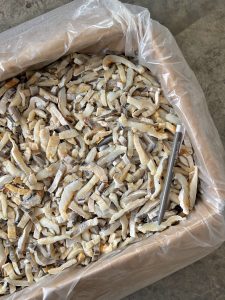 Ikan Masin Isi Malong