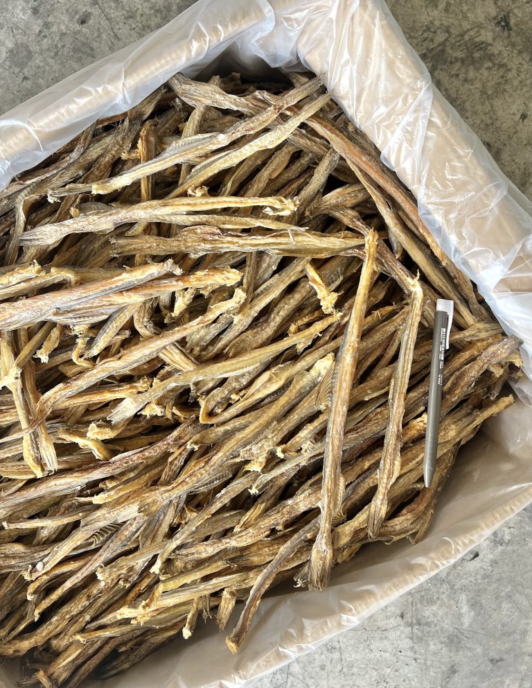 Ikan Masin Rumi Batang