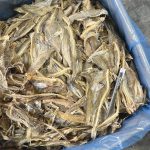 Ikan Masin Rumi Keping