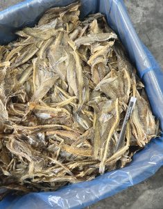 Ikan Masin Rumi Keping