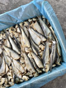 Ikan Masin Tamban Sisik