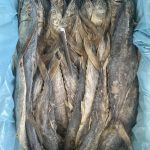 Ikan Masin Tenggiri M