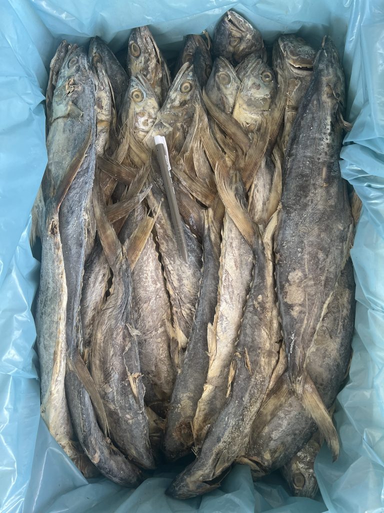 Ikan Masin Tenggiri M