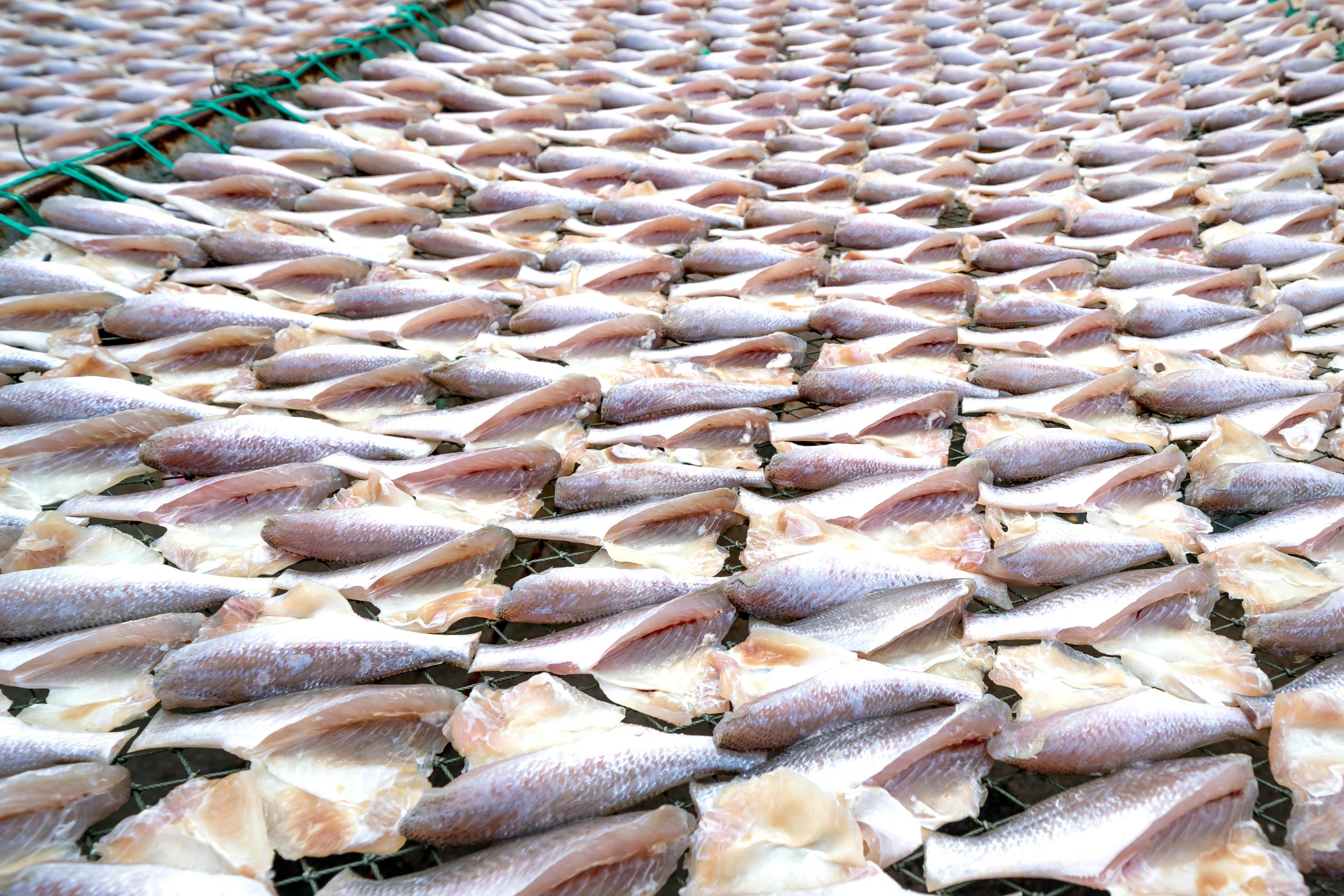 Salted Fish