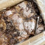 Sotong Kering Vietnam